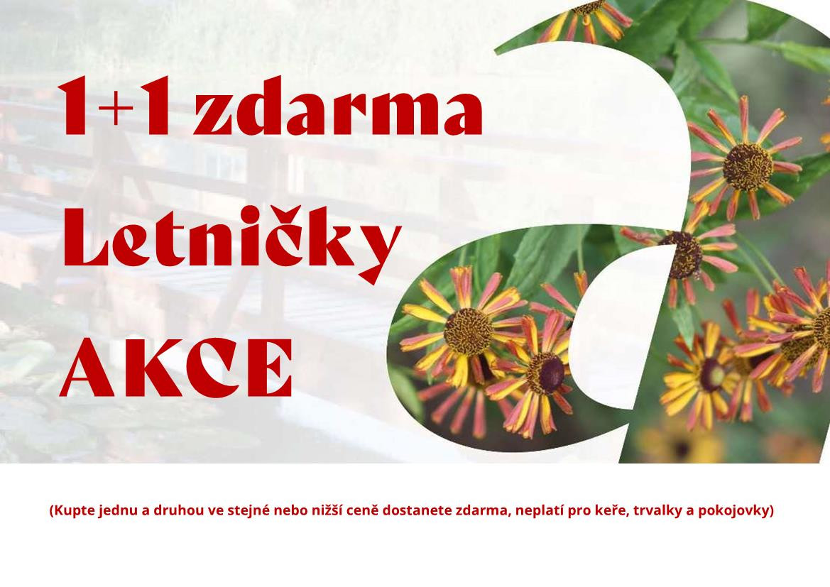 AKCE LETNIČKY 1+1 ZDARMA
