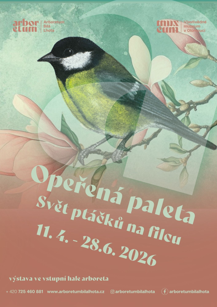 VÝSTAVA OPEŘENÁ PALETA