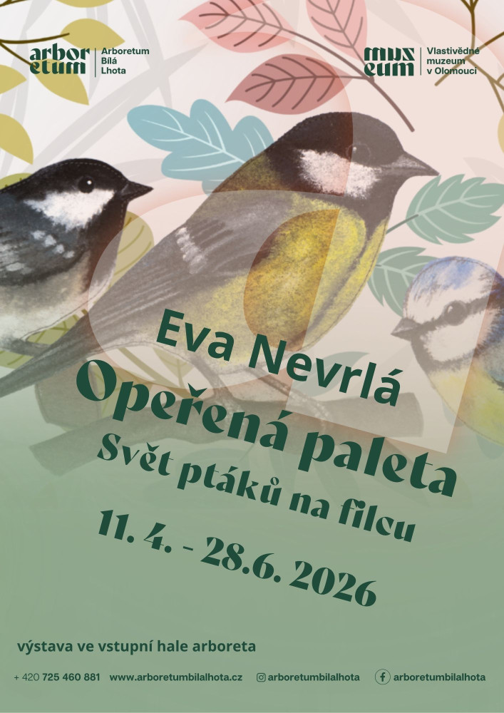 VÝSTAVA OPEŘENÁ PALETA