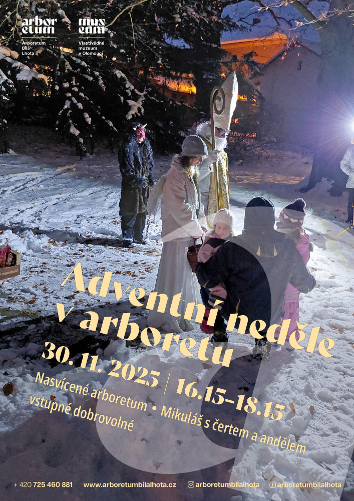 ADVENTNÍ NEDĚLE V ARBORETU